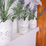 Iris Garden Retreat Apartament