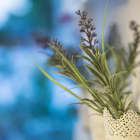 Appartamento Iris Garden Retreat