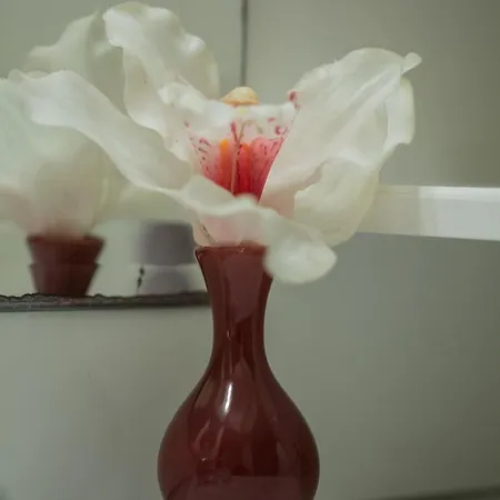 شقة Iris Garden Retreat *