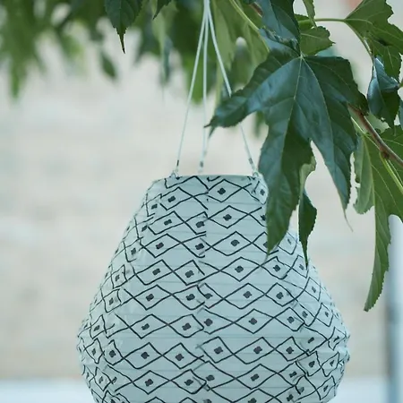 Iris Garden Retreat * Corinth