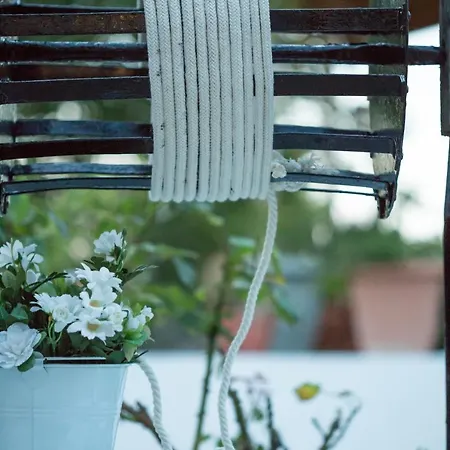 Iris Garden Retreat Corinth