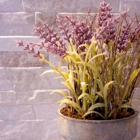 Iris Garden Retreat * Corinto