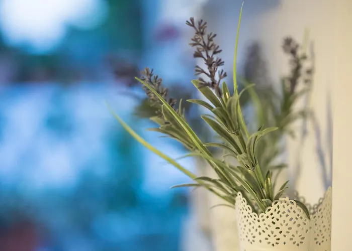 Апартаменты Iris Garden Retreat