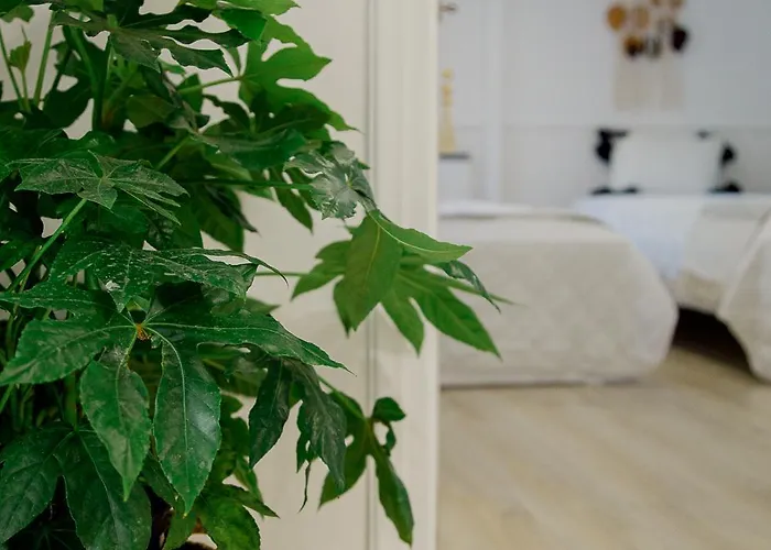 Апартаменты Iris Garden Retreat *