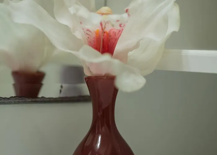 Apartment Iris Garden Retreat *