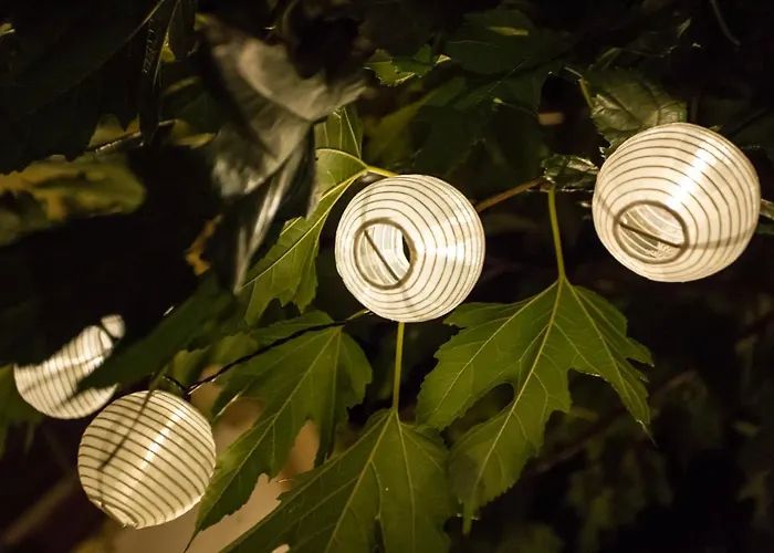 Iris Garden Retreat Apartment