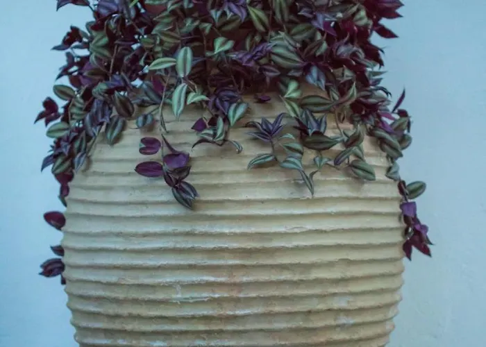 Διαμέρισμα Iris Garden Retreat *