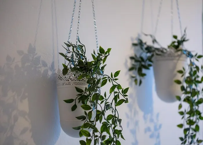 Iris Garden Retreat * Corinth