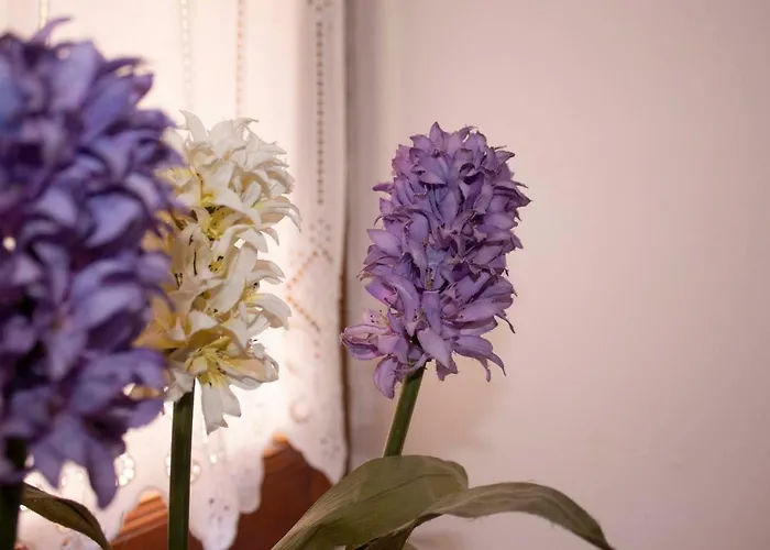 Διαμέρισμα Iris Garden Retreat Corinth