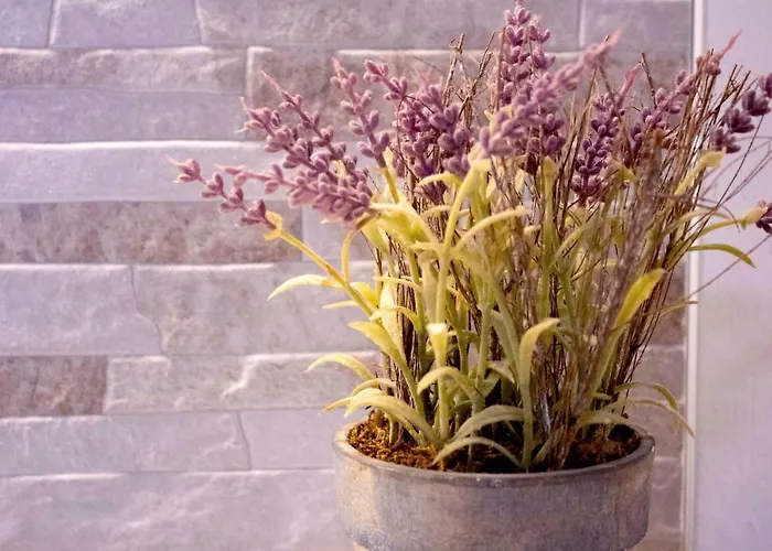 Iris Garden Retreat * Corinth