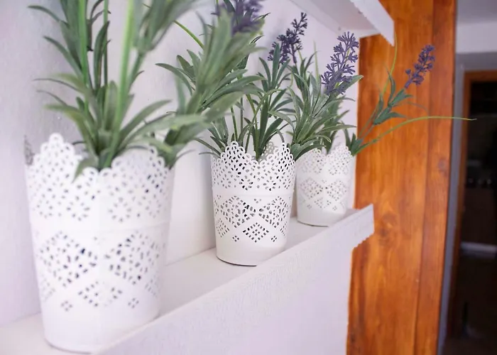 Iris Garden Retreat Διαμέρισμα